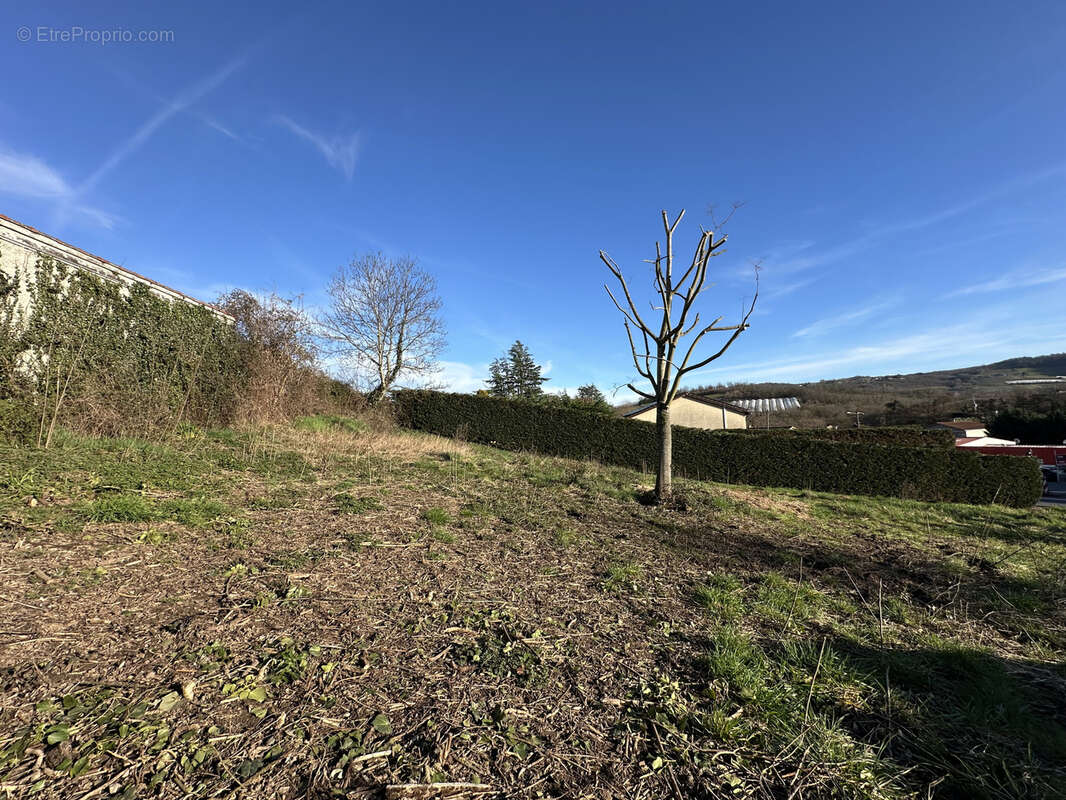 Terrain à THURINS