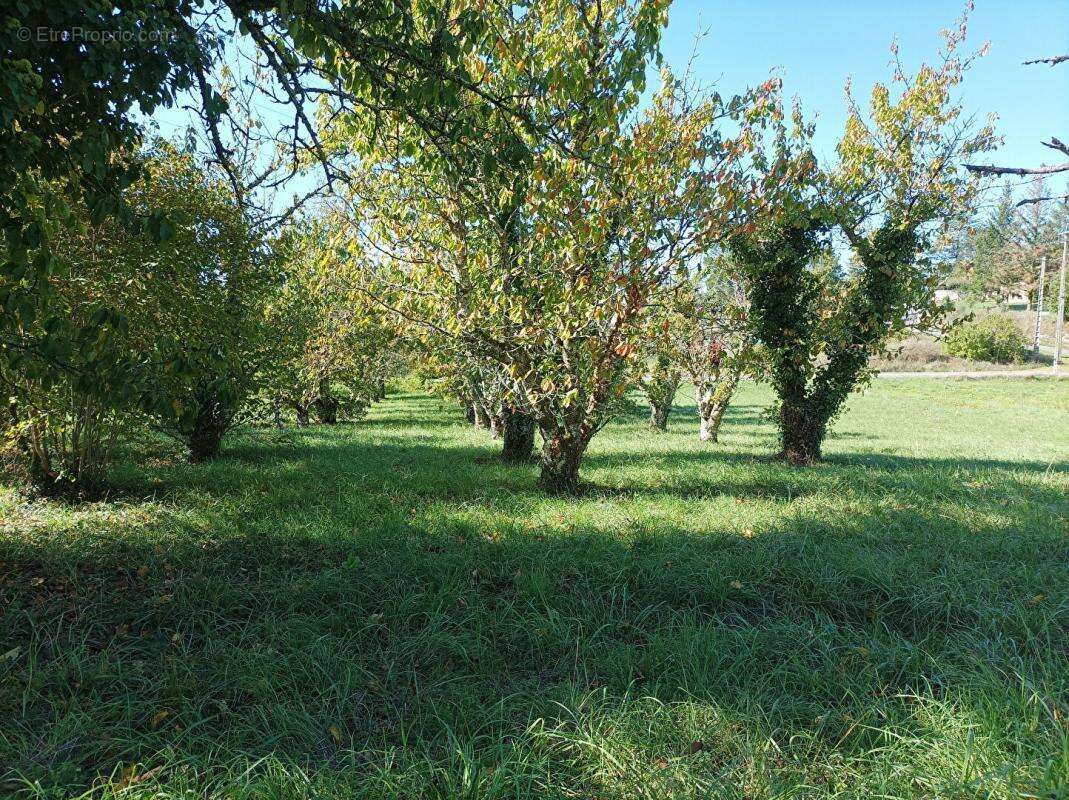LUZECH .Terrain constructible à vendre - photo 8