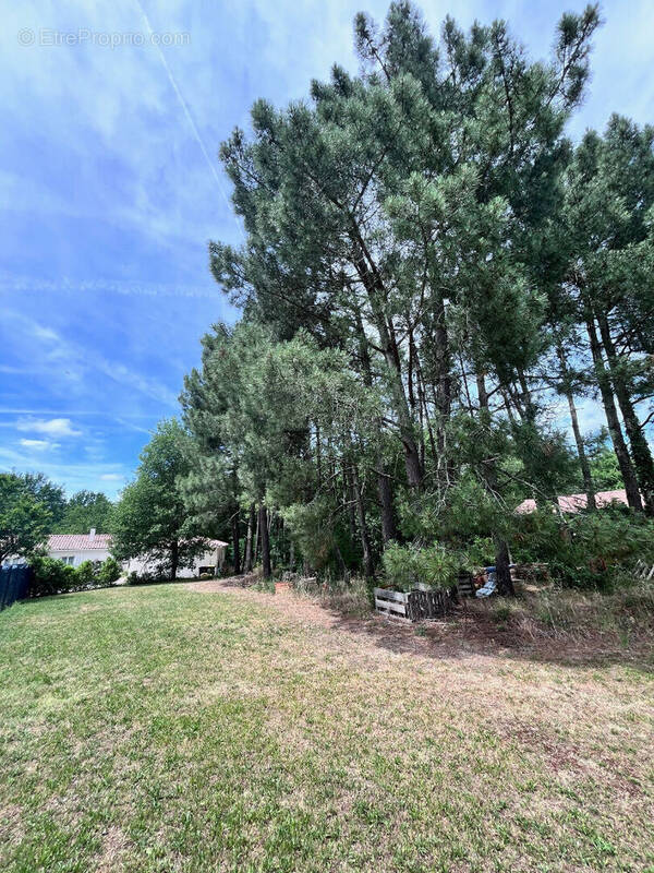 Terrain Constructible de 879 m² - photo 1