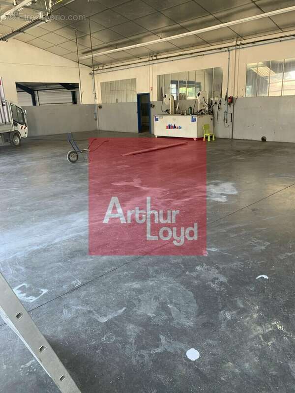 1500 m² à Lafox  - photo 9