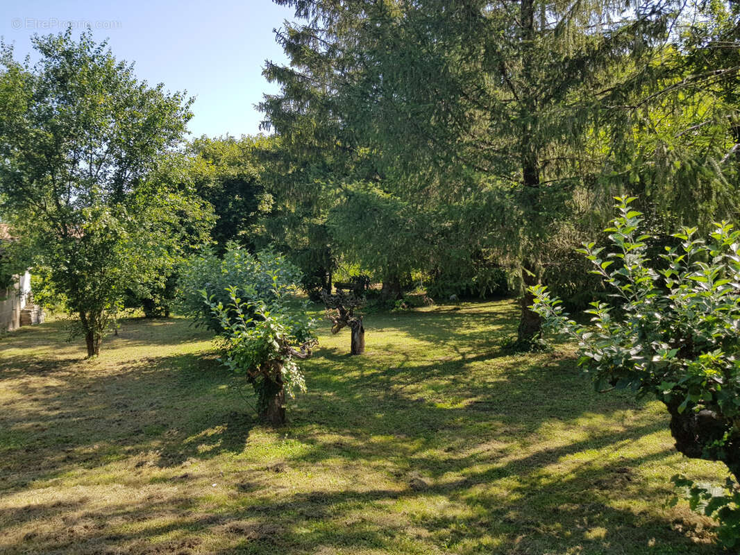 Maison à SAINT-GEORGES-DE-REX