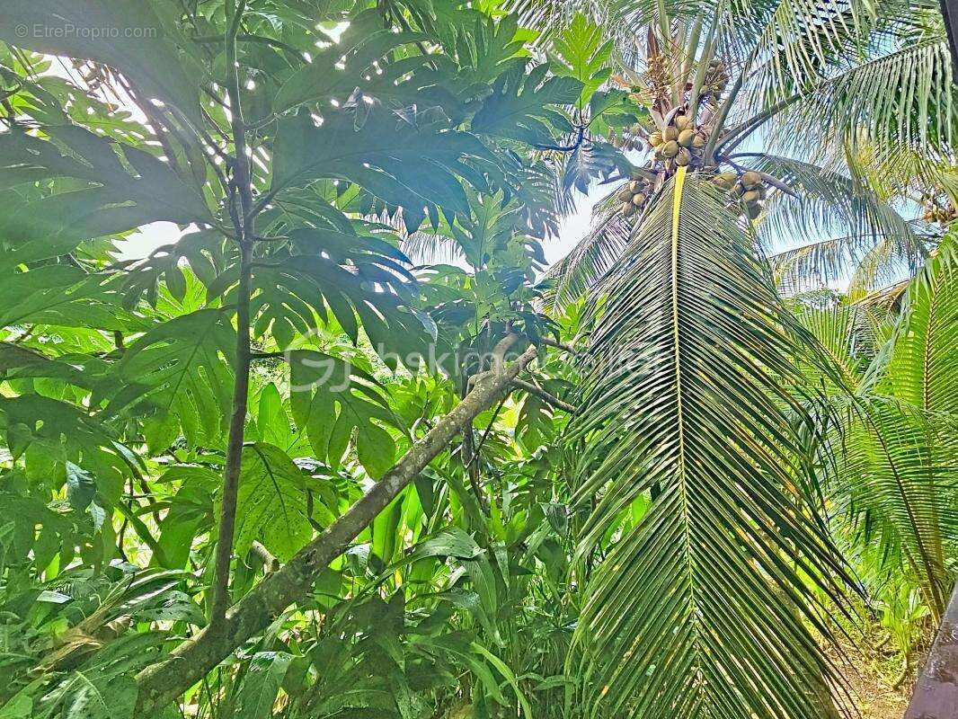 Maison à SAINTE-ANNE