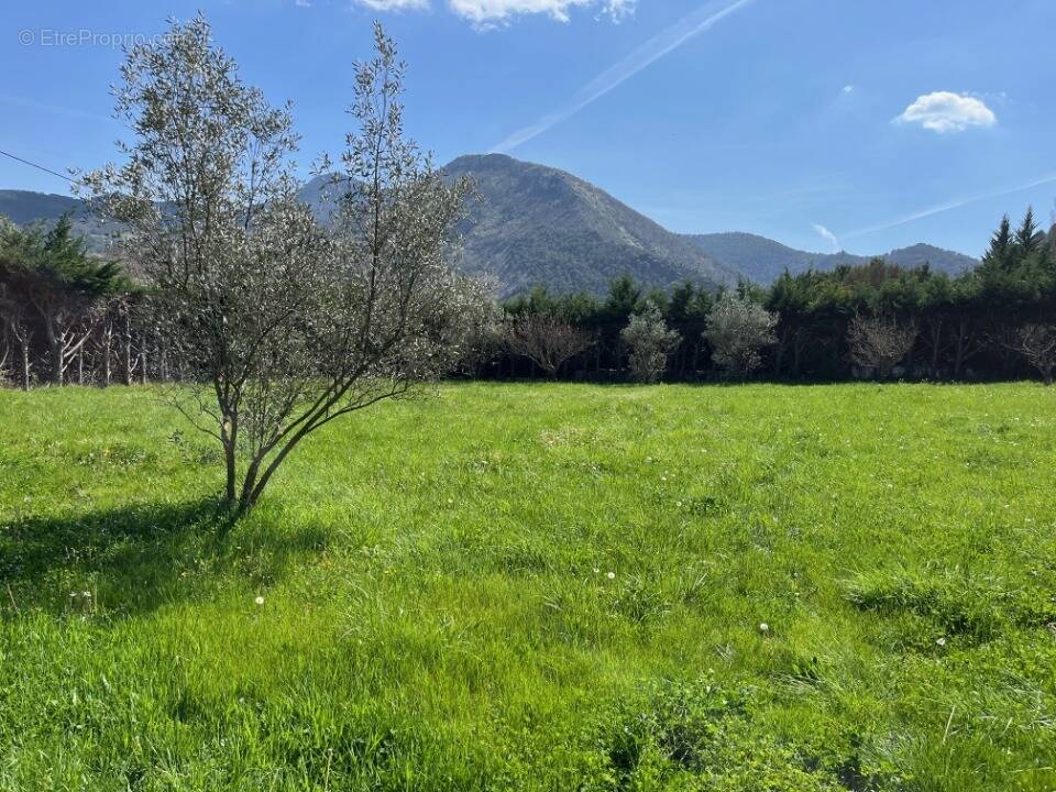 Terrain à CONDORCET