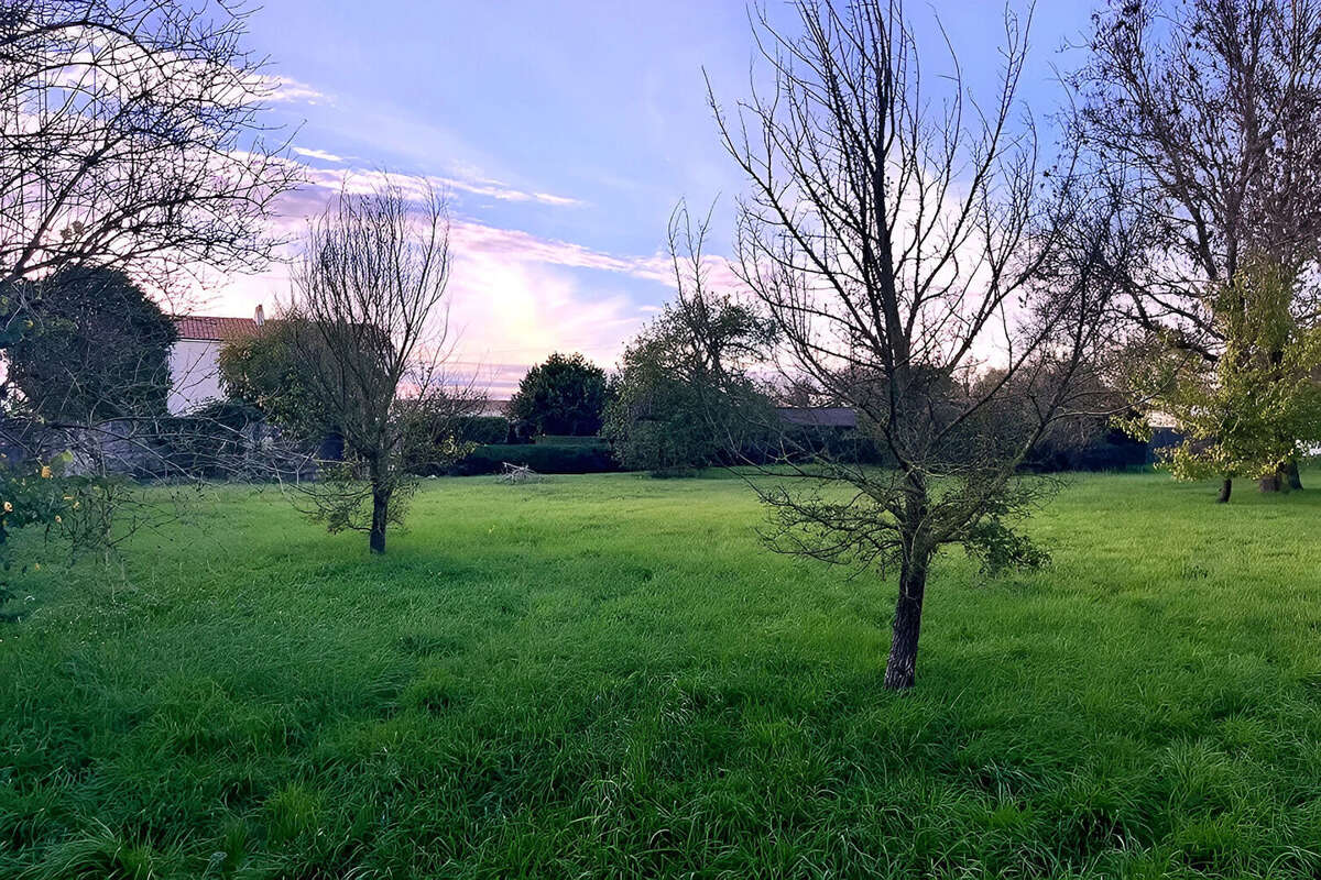 Terrain à SAINTE-SOULLE