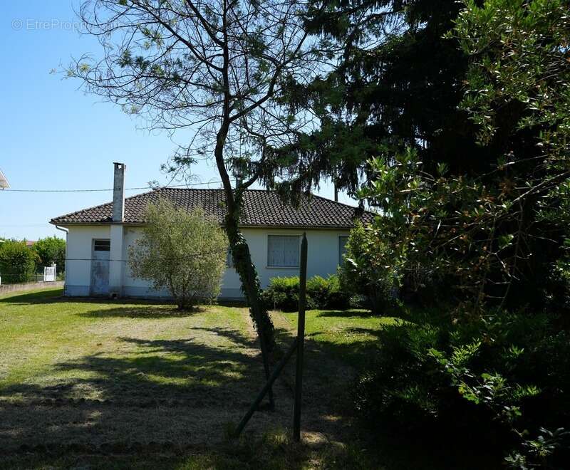 Maison à SAINTE-LIVRADE-SUR-LOT