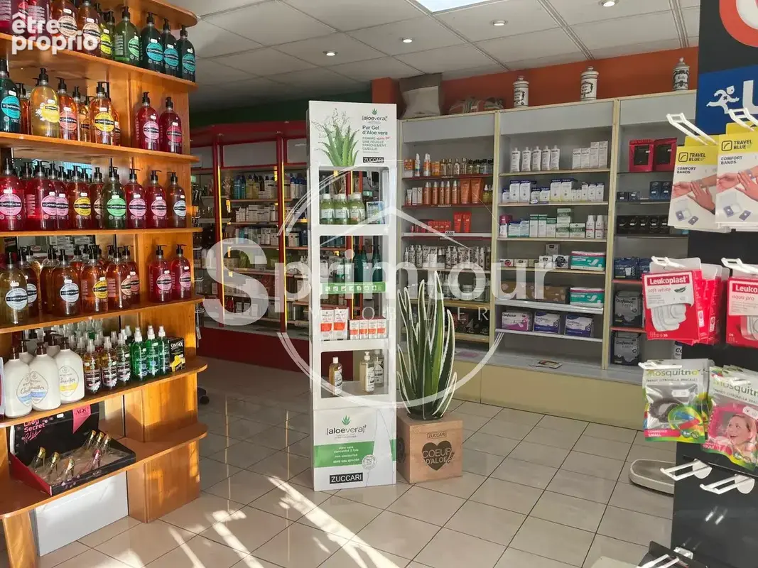 Gourbeyre- belle opportunité d’investissement   murs commerciaux à la marina de rivière-sens - photo 6