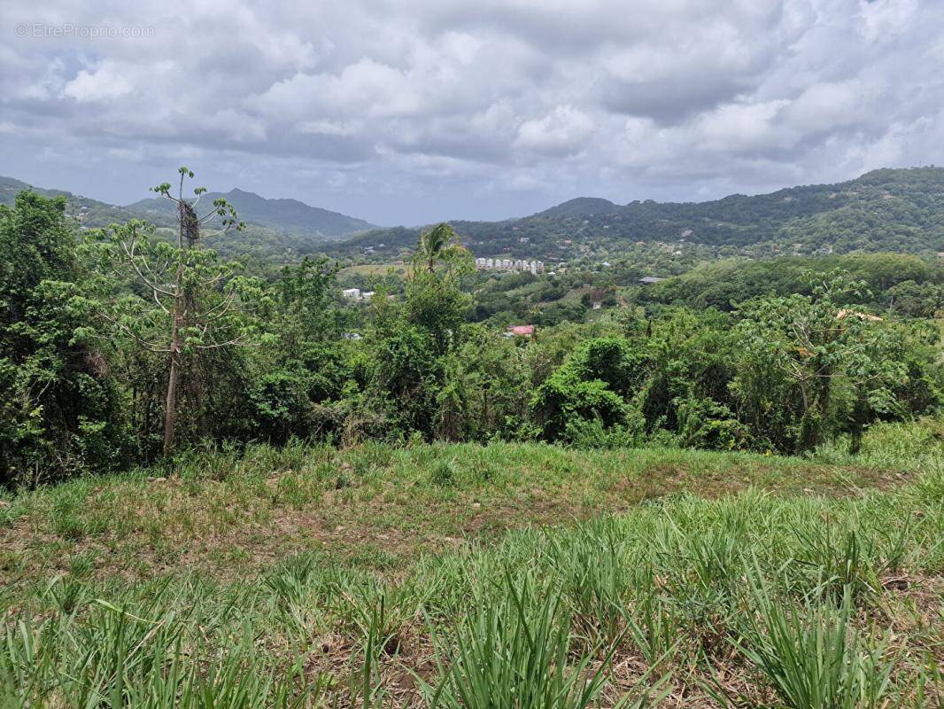 Terrain à RIVIERE-PILOTE