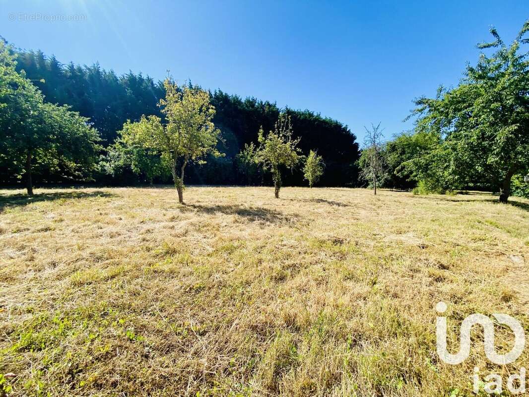 Photo 6 - Maison à PLEURTUIT