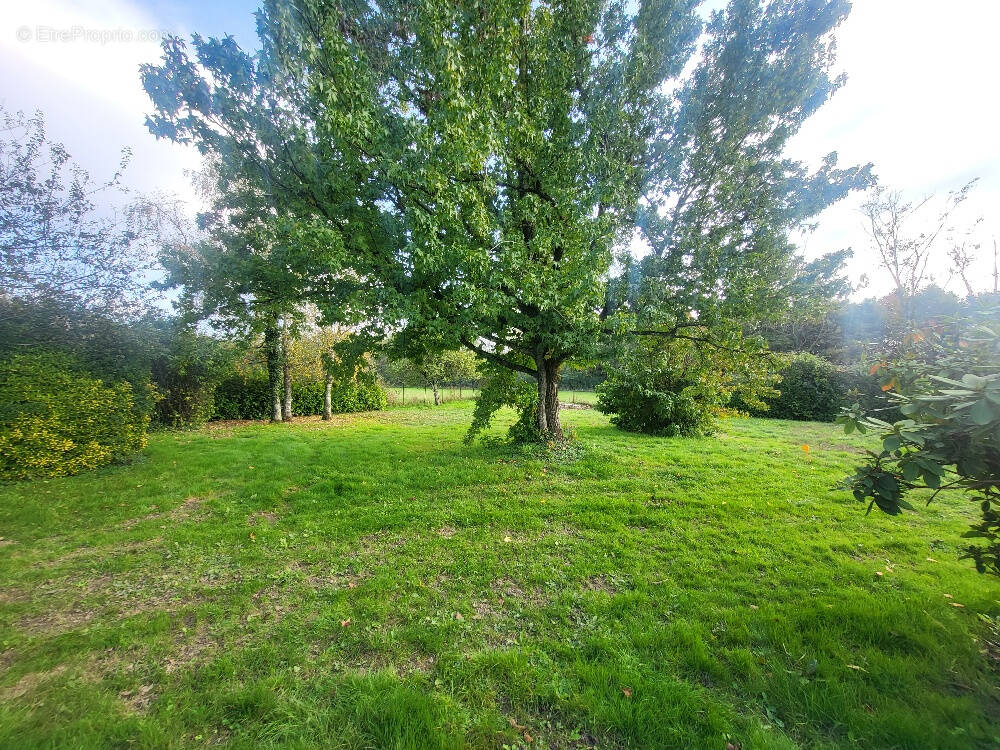 Terrain à SAINT-MARCEL