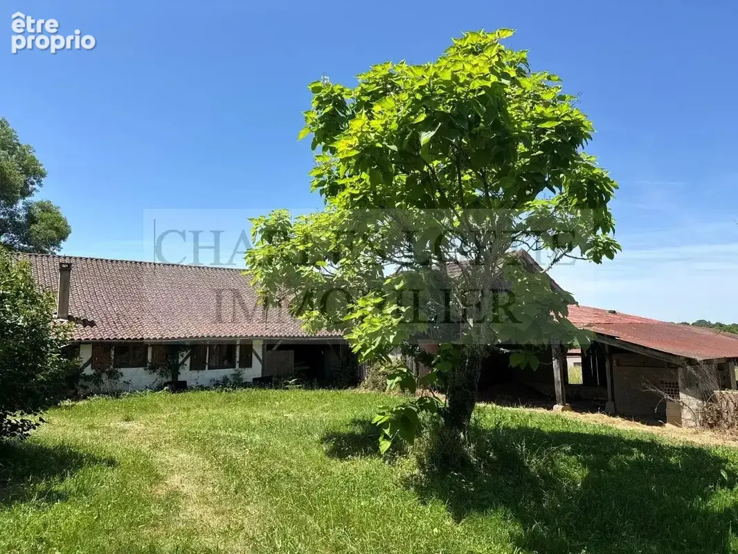 Ancien corps de ferme sur terrain de 6 ha - photo 3