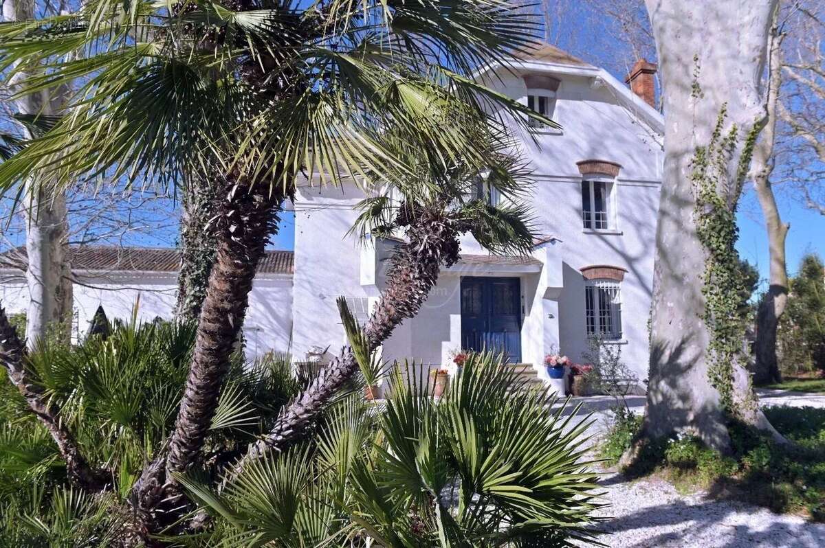 Maison à RIVESALTES