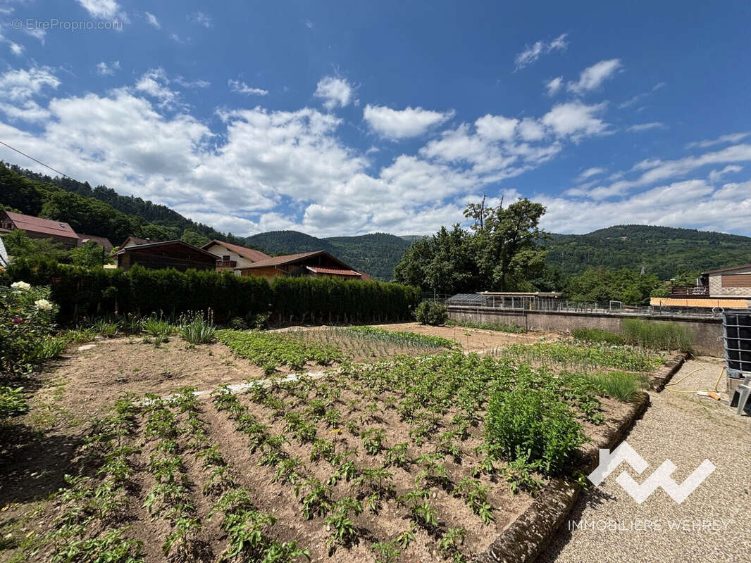 Maison 270 m² à Metzeral  - photo 4