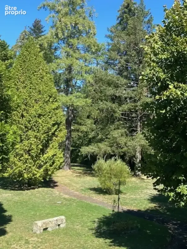 Vaste propriété aux portes d'Aurillac - photo 28