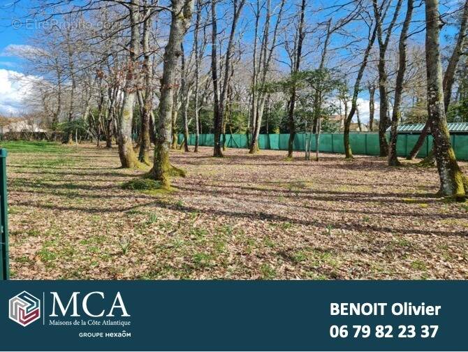 Photo Terrain à Breuillet au prix de 134 000€
