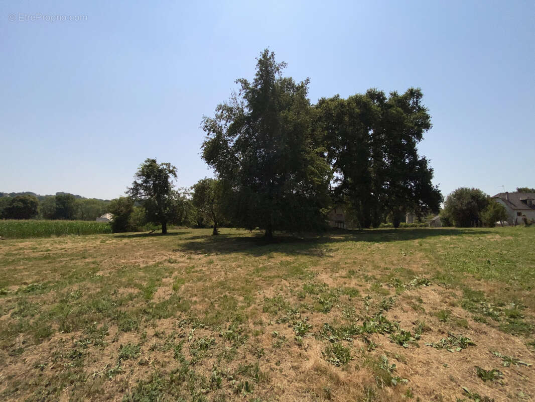 Ferme 10 hectares Monein - photo 23