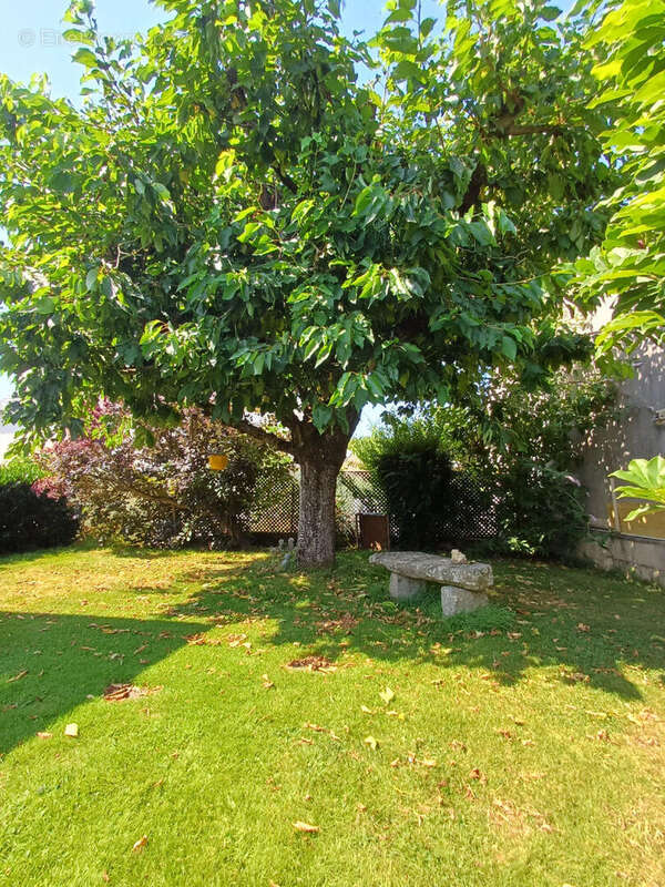 Maison Saint Berthevin 5 pièce(s) 90 m2 - photo 11
