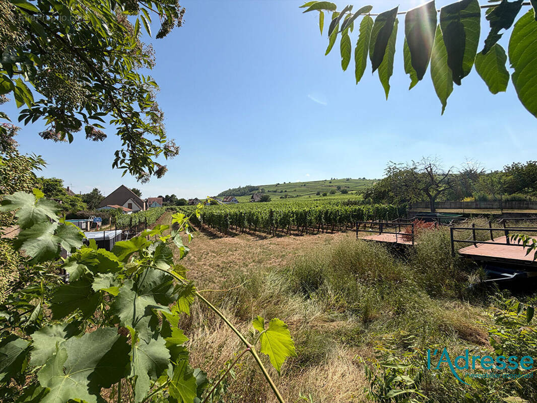 Terrain à BENNWIHR