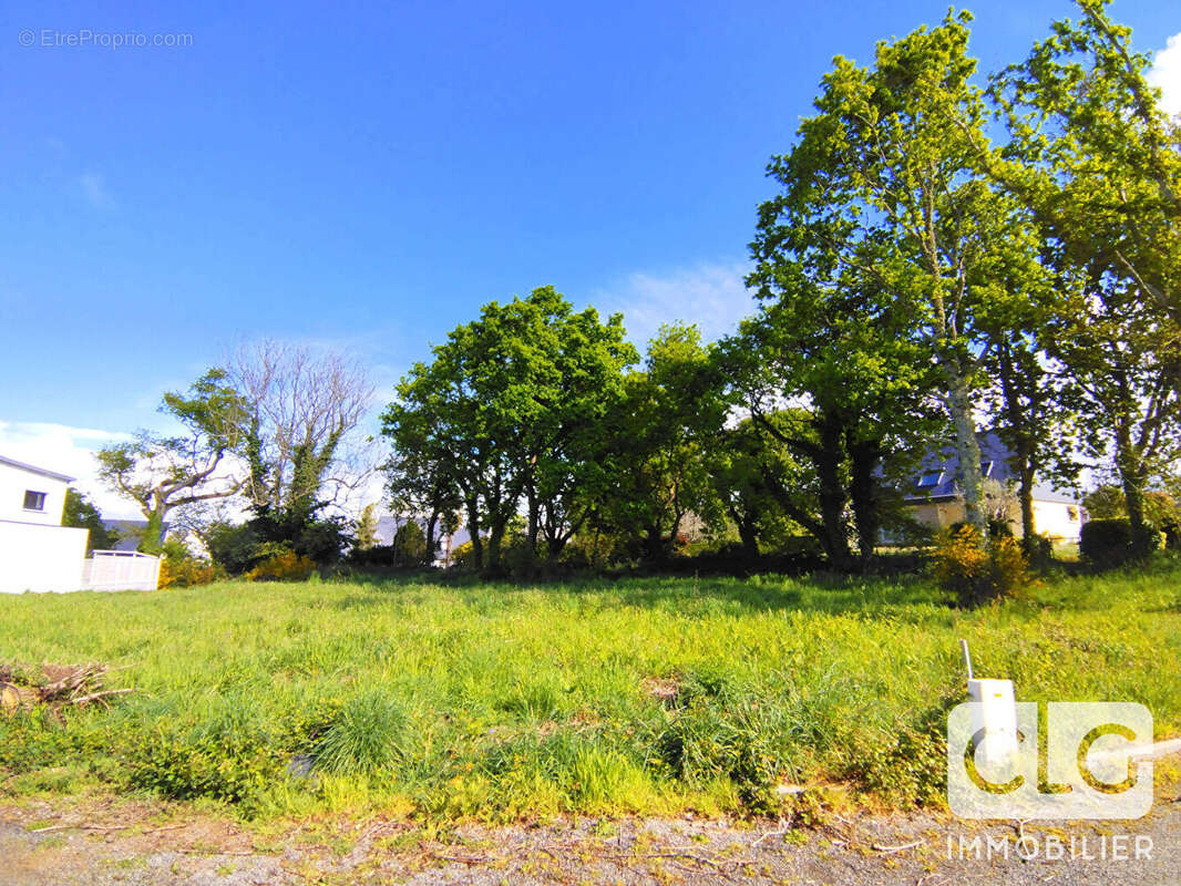 Terrain à CONCARNEAU