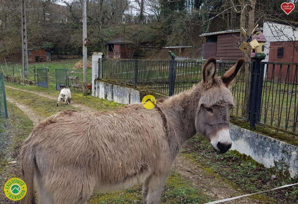 Terrain à GERMIGNY-L'EXEMPT