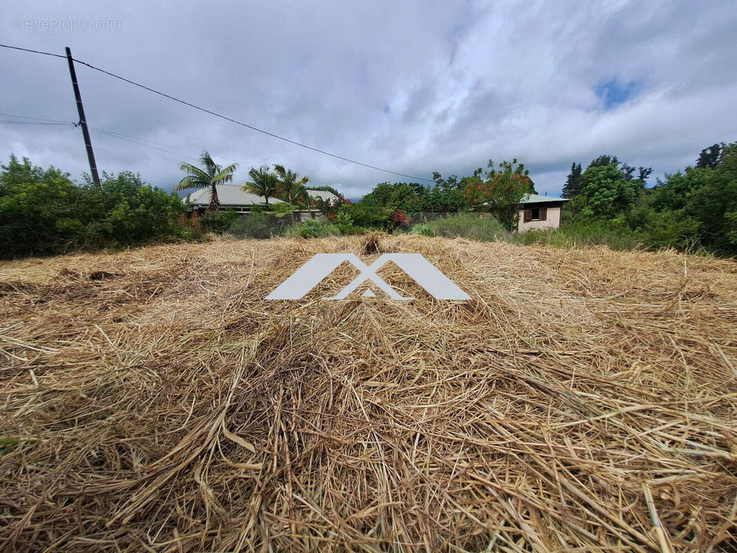 Terrain à SAINT-JOSEPH