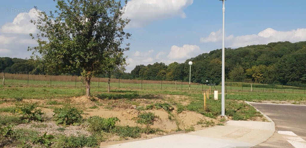 Terrain à LE MONT-SAINT-ADRIEN