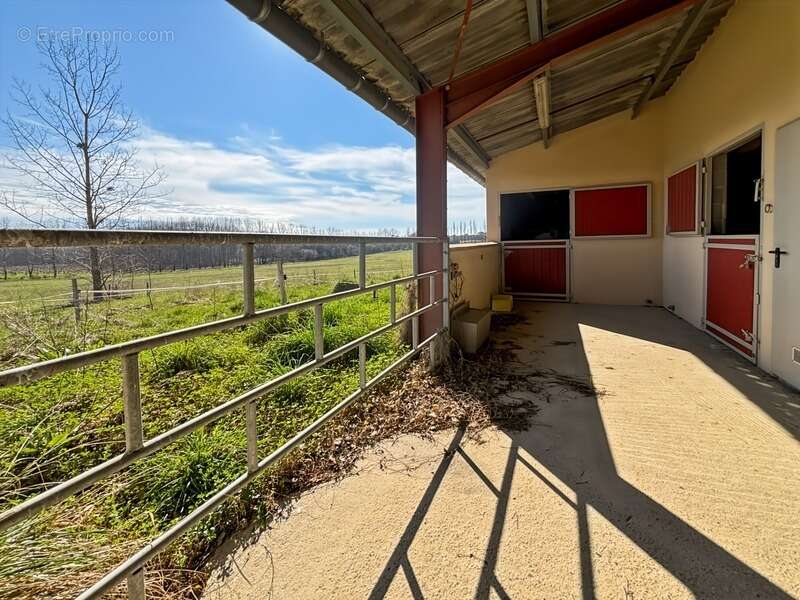 Maison à PARLEBOSCQ