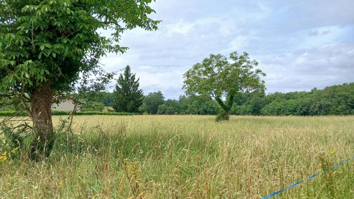 Terrain à SAINT-PRIVAT-DES-PRES