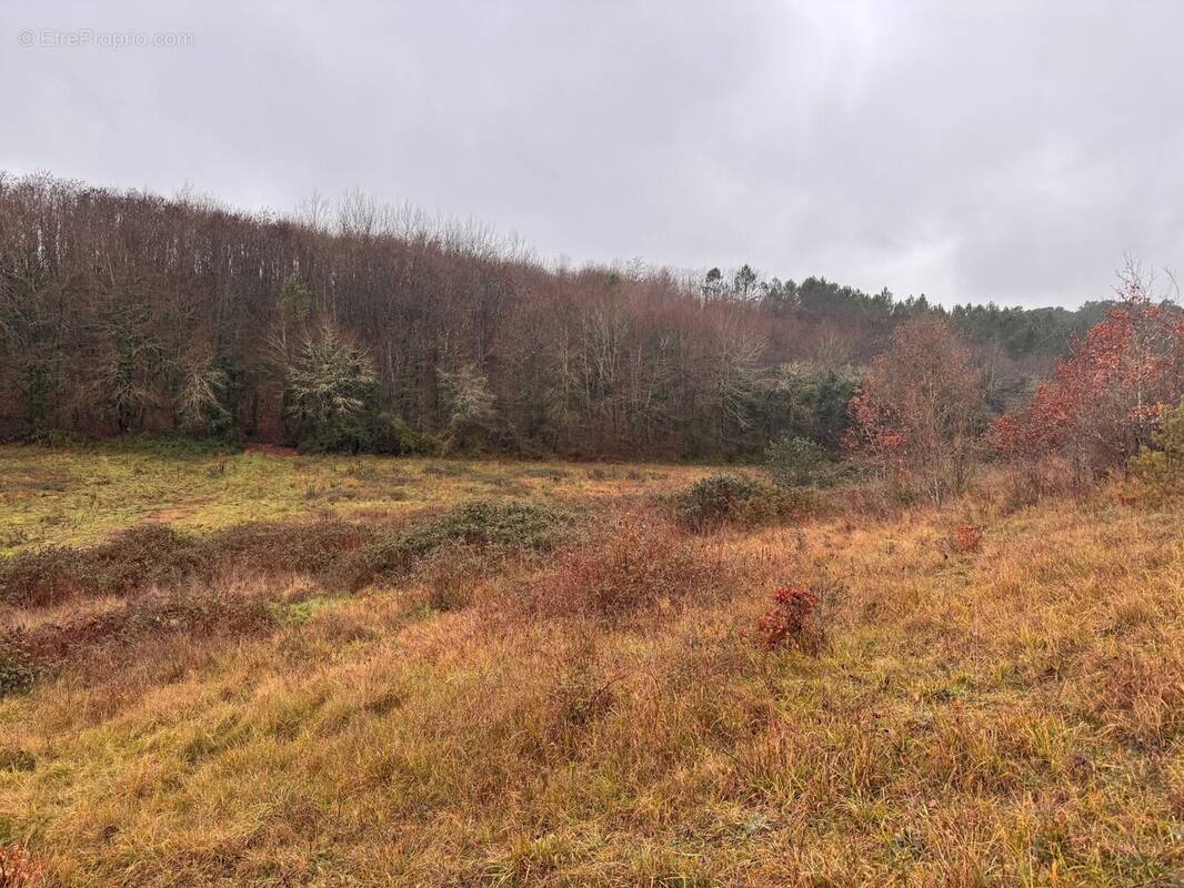 Terrain à TRELISSAC