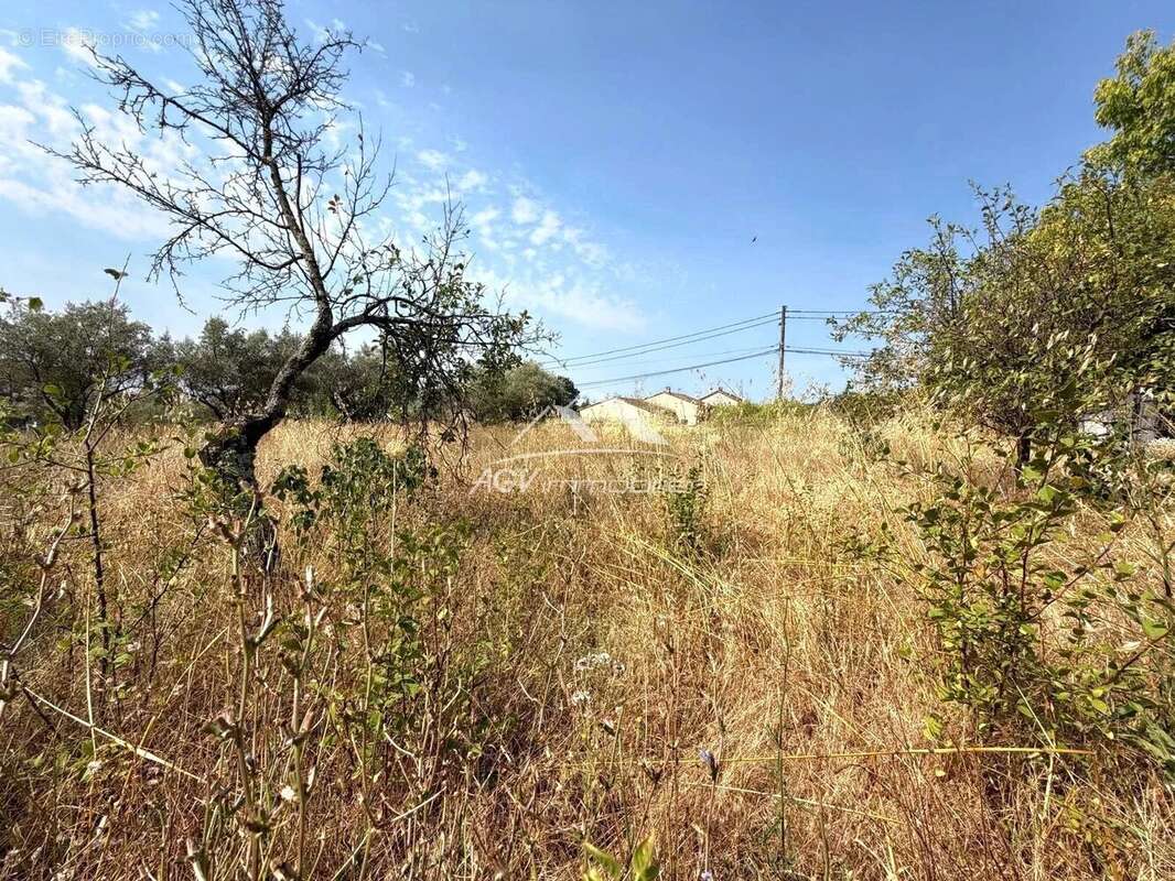 ALES, le Rieu , Terrain à bâtir de 2444 m² - photo 3