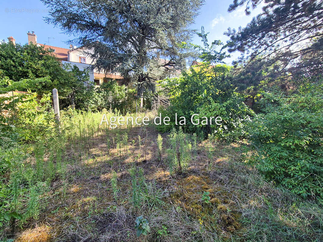 Terrain à SARTROUVILLE