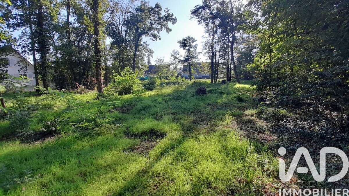 Terrain 2595 m² à Gouvieux  - photo 3