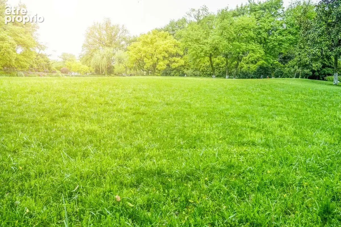 Photo Terrain à Mercury au prix de 165 000€