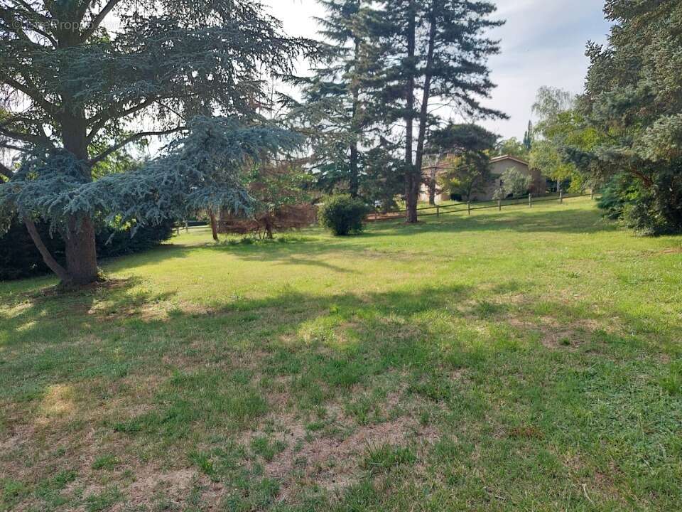 Terrain 1697 m² à Launaguet  - photo 3