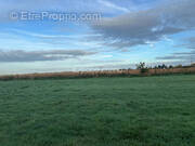 Terrain à MONTVILLE