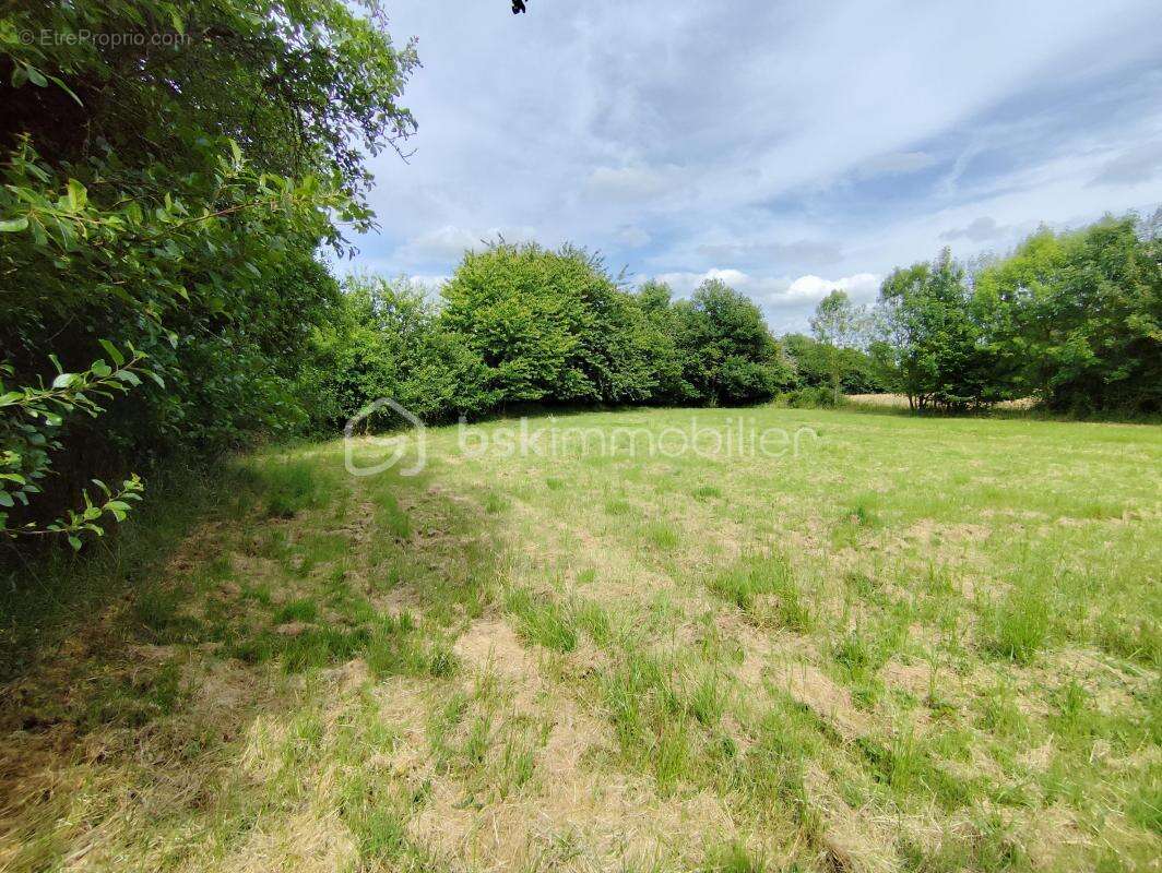 Terrain à LEZAY