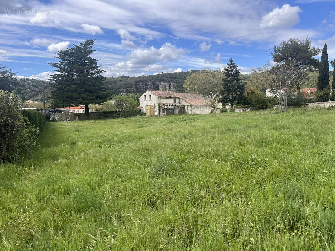Bédarieux, à vendre terrain constructible de 8160 m2 avec une bâtisse existante à rénover entièremment - photo 5