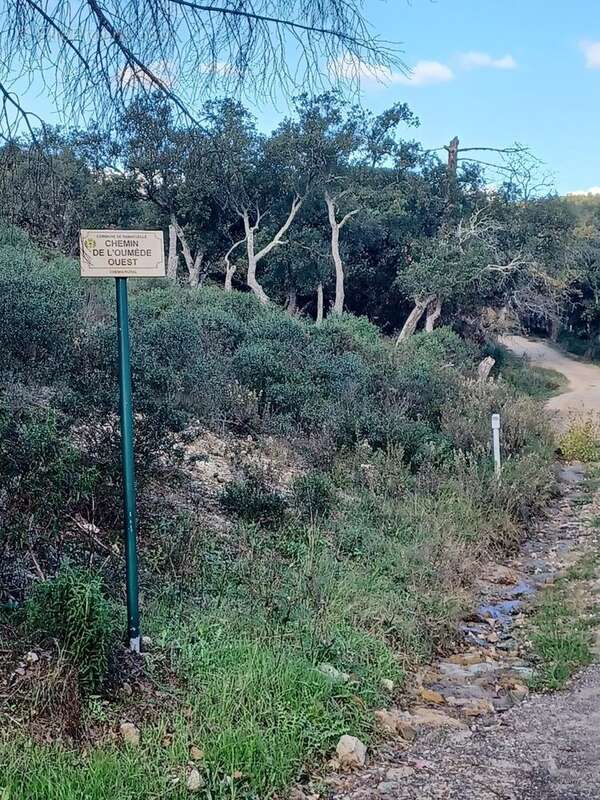 Terrain à RAMATUELLE