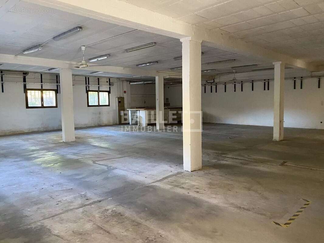 Commerce à ROQUEBRUNE-SUR-ARGENS