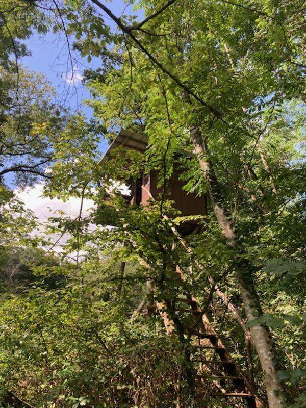 Domaine Forestier et chasse privée à vendre - photo 7