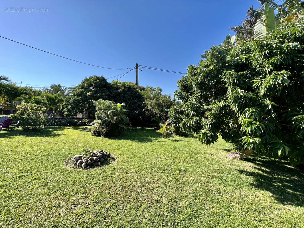 Terrain à SAINT-JOSEPH