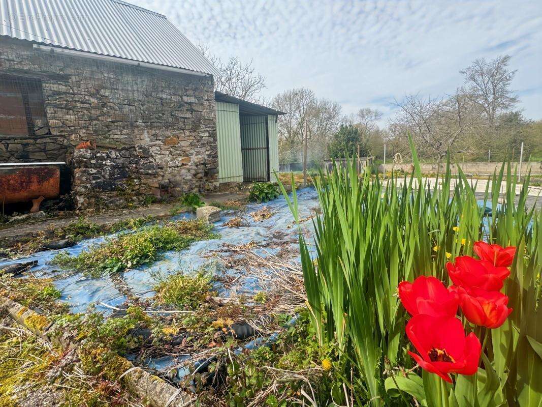 Maison à SAINT-AUBIN-DES-CHATEAUX