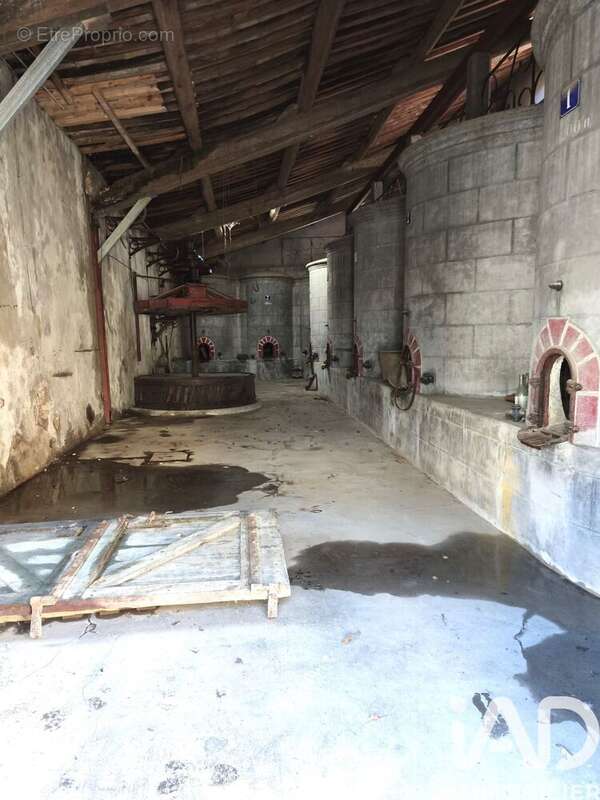 Photo 2 - Maison à SALLES-D'AUDE