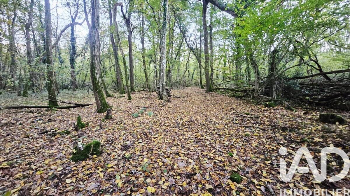 Photo 1 - Terrain à SAINT-HILAIRE-SAINT-MESMIN