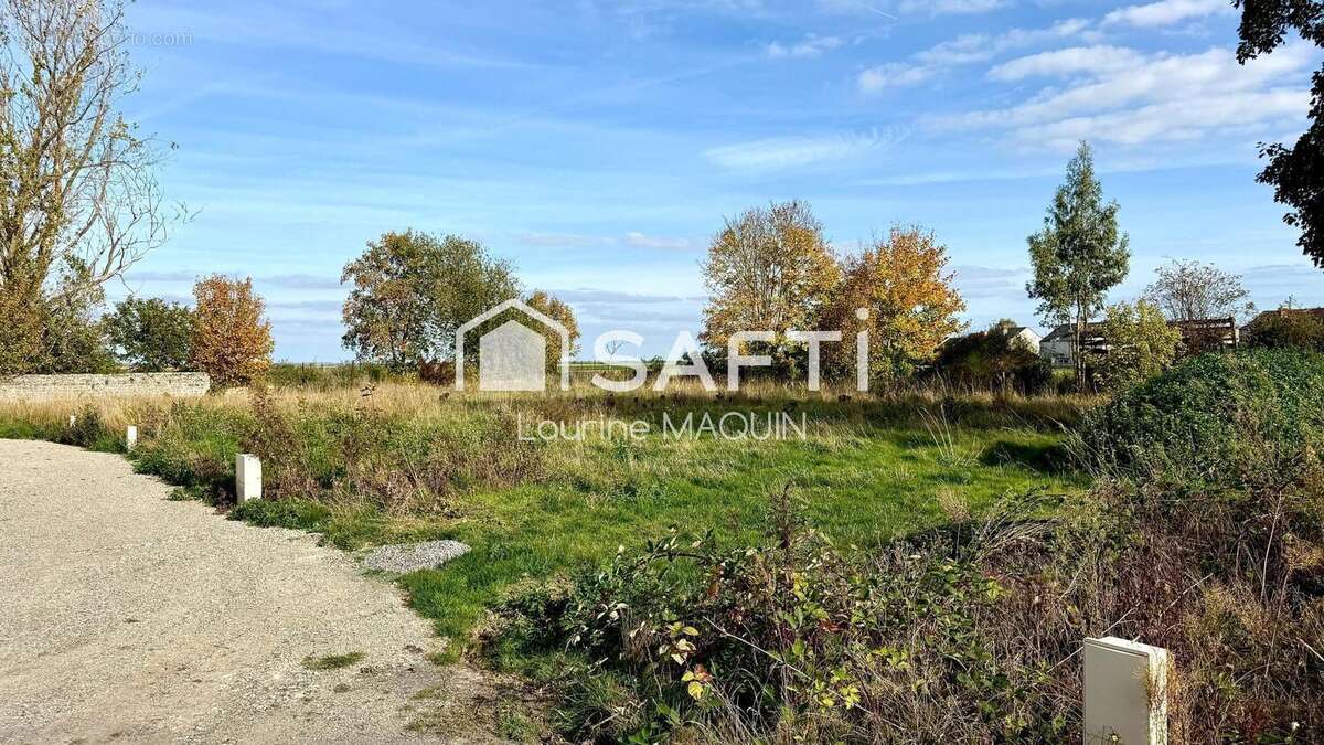 Photo 3 - Terrain à MONCEAU-LE-WAAST