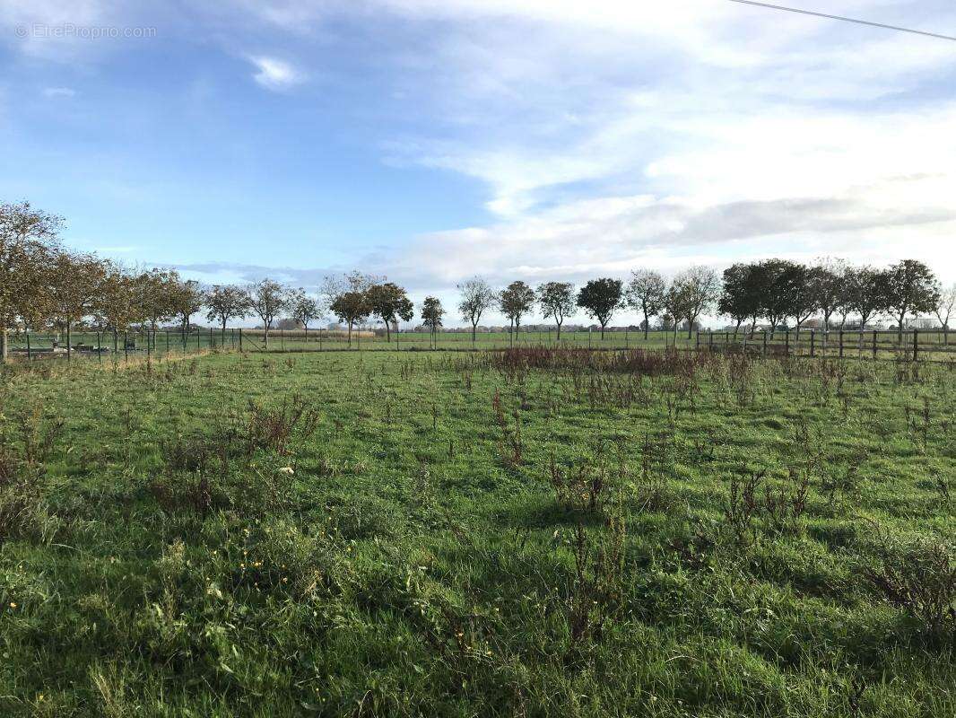 Appartement à BERSEE