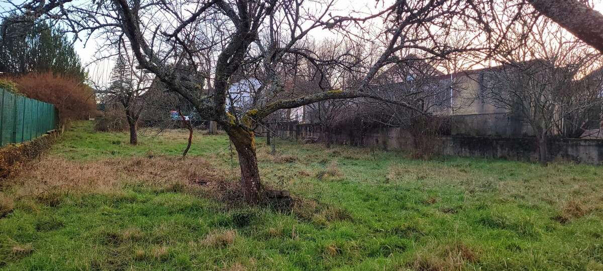 Terrain à SAINT-DIE-DES-VOSGES