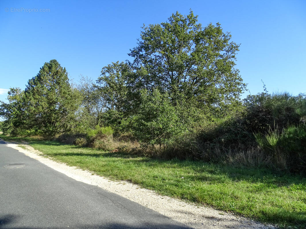 Terrain à SAINT-JULIEN-SUR-CHER