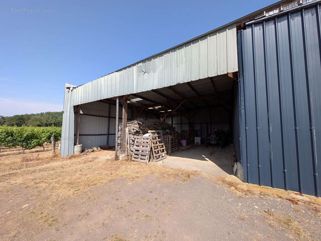 Maison à MONTREUIL-BELLAY
