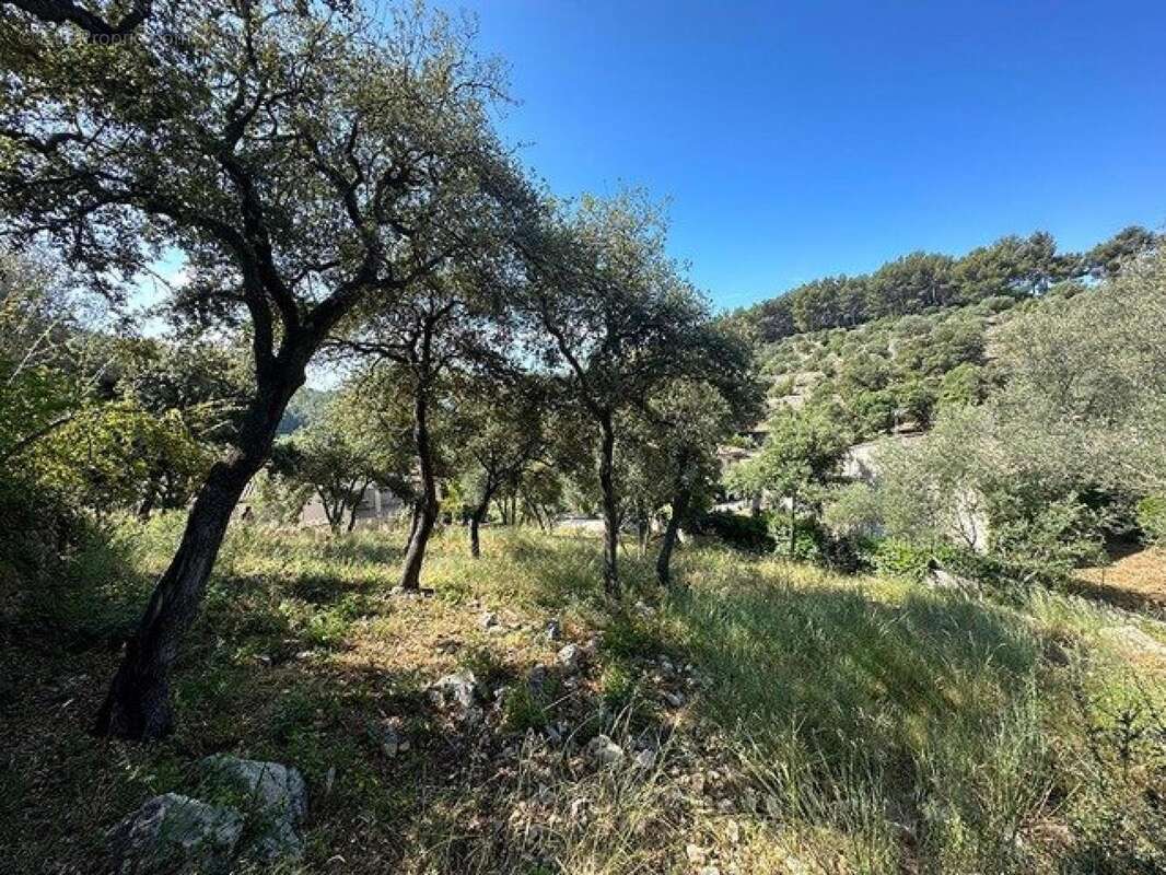 Photo 2 - Terrain à LA VALETTE-DU-VAR