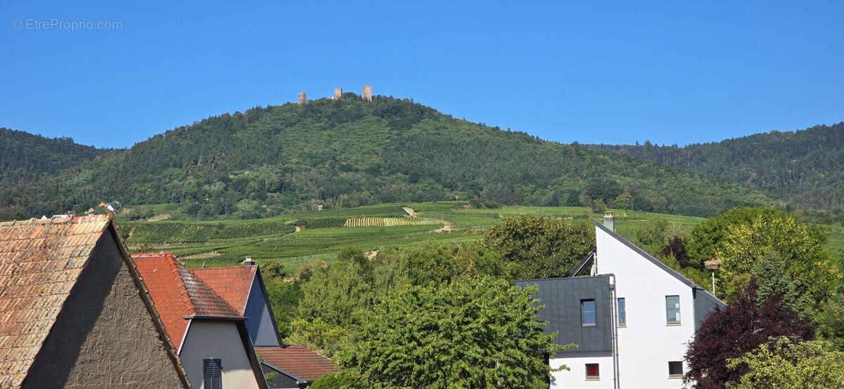 Maison Eguisheim - photo 11